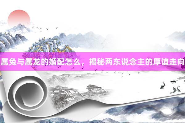 属兔与属龙的婚配怎么，揭秘两东说念主的厚谊走向