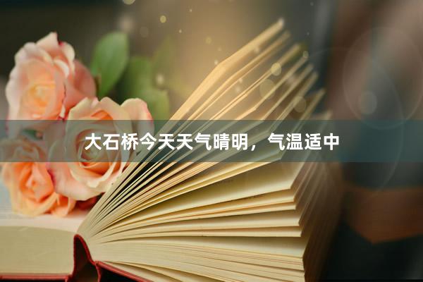 大石桥今天天气晴明，气温适中