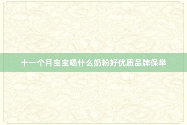 十一个月宝宝喝什么奶粉好优质品牌保举