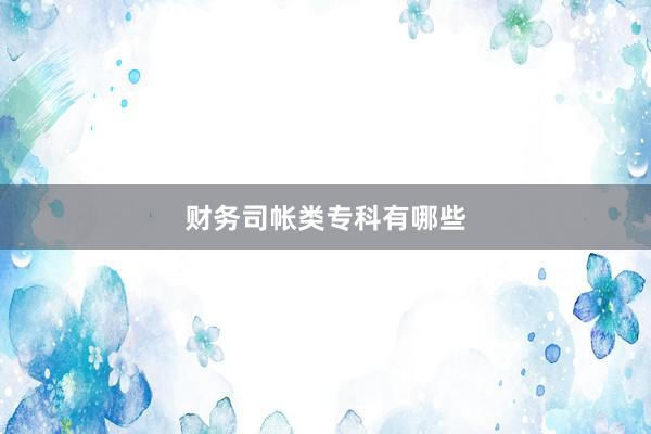 财务司帐类专科有哪些