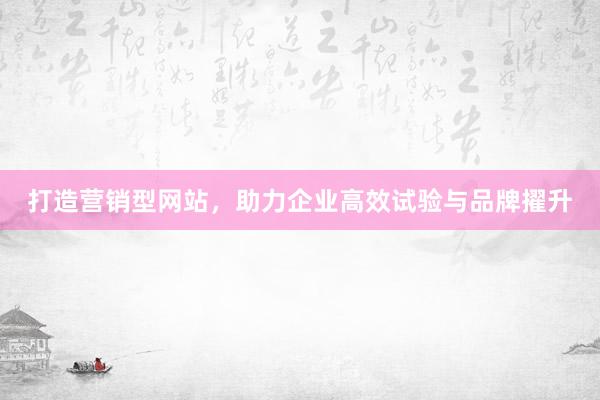 打造营销型网站，助力企业高效试验与品牌擢升